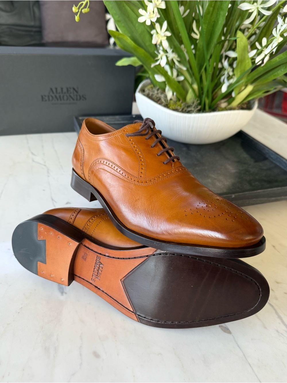 New Allen Edmonds Siena Medallion Oxford Dress Shoe Walnut Leather - Picture 9 of 15